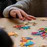 People playing puzzles and having fun